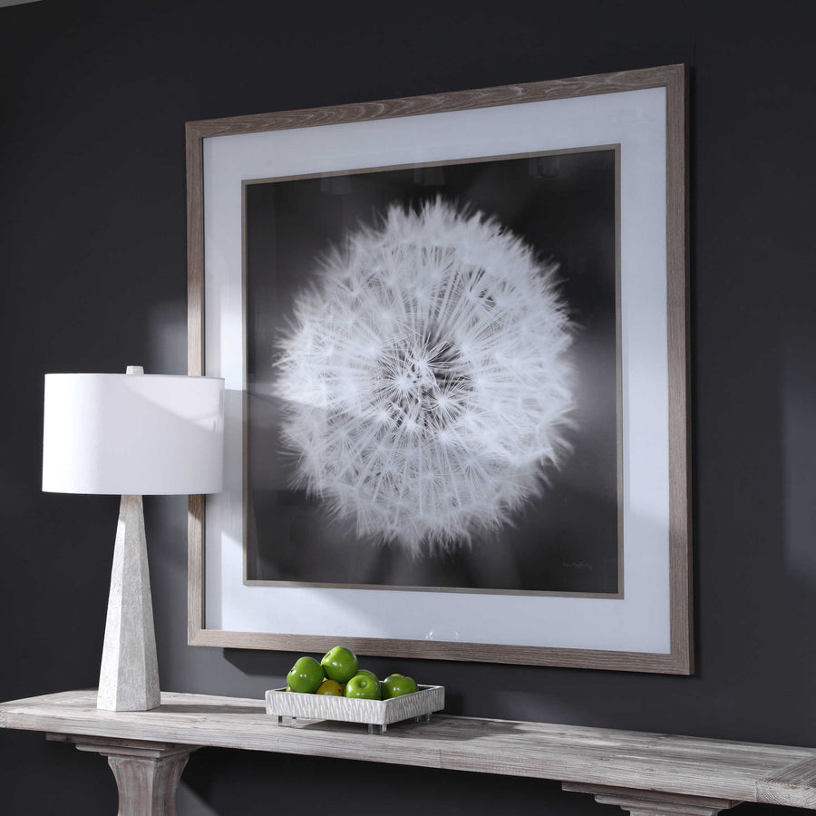 "DANDELION SEEDHEAD" GLASS FRAMED PRINT