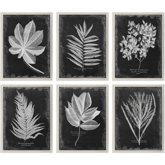 "VINTAGE FOLIAGE" GLASS FRAMED PRINTS | SET OF 6